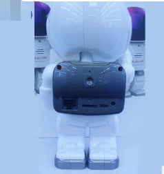 Astronaut Security Robot